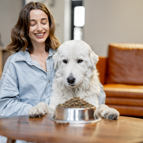 Pet Supplies